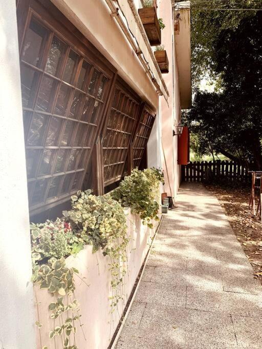 Apartamento Raffinatezza Rustica Nella Campagna Veneziana Canton  Exterior foto